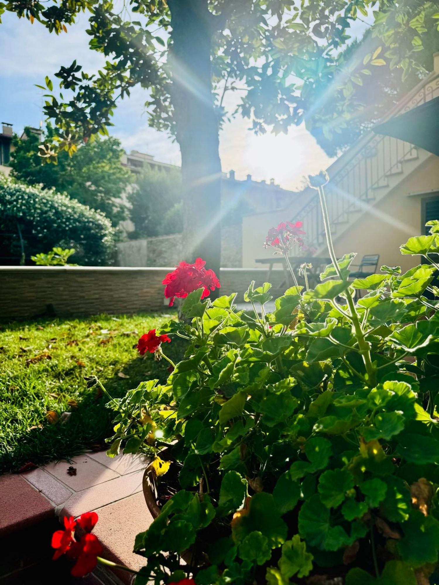 La Casa Di Grace Apartamento