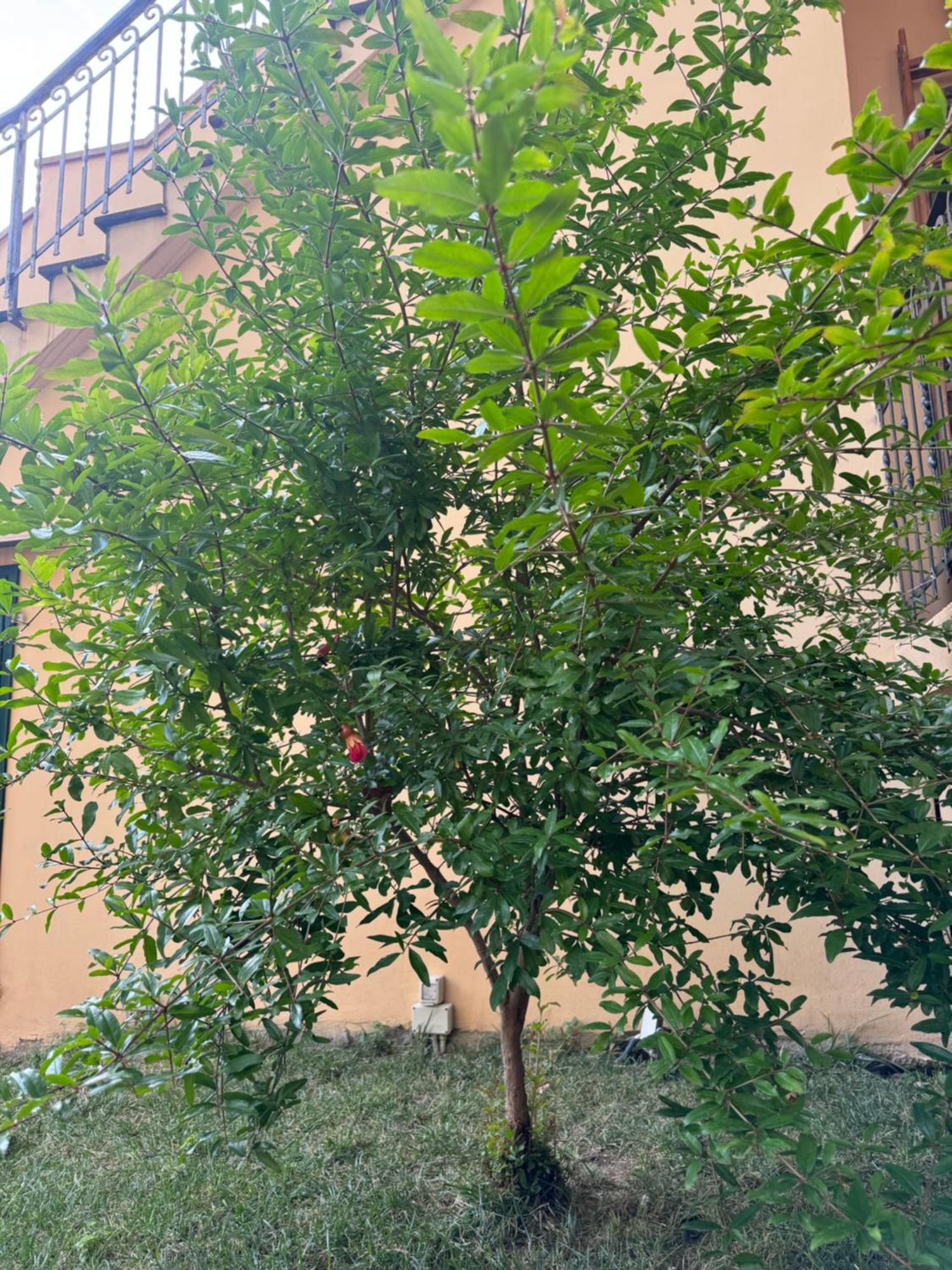 La Casa Di Grace Florencia